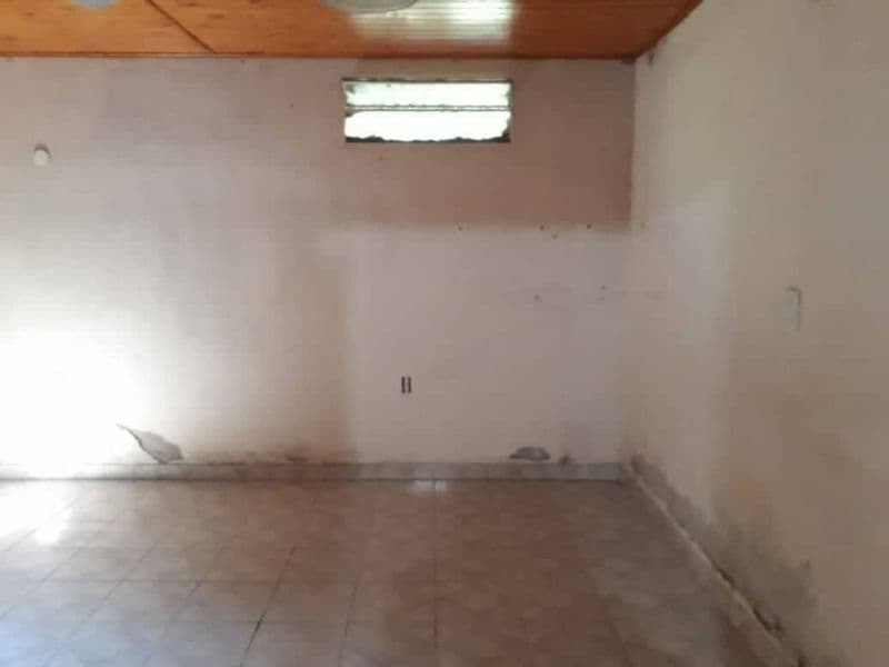 Galpón - Inmobiliaria Zucco — foto 4