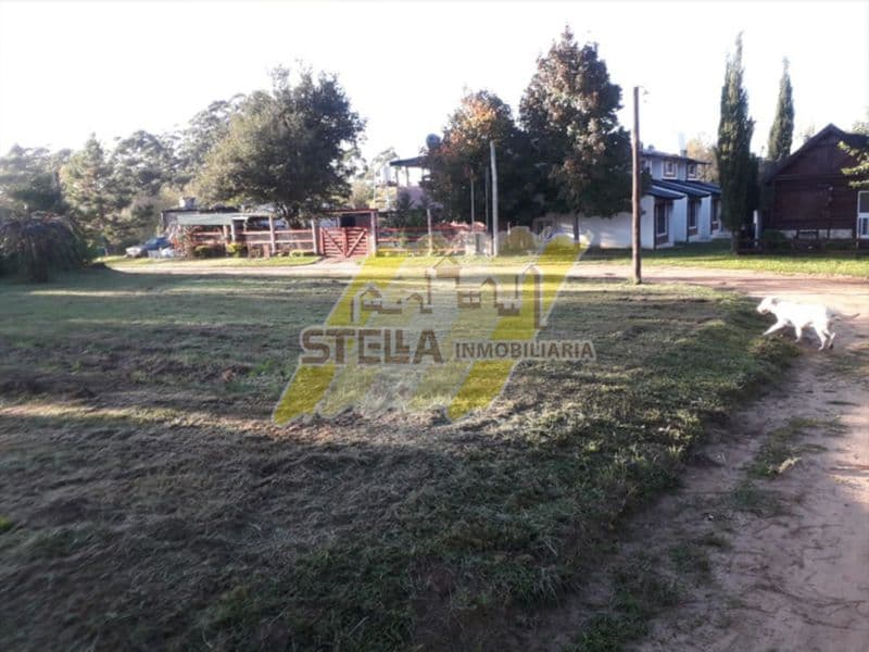 Estrada 3283 - Stella Inmobiliaria — foto 12