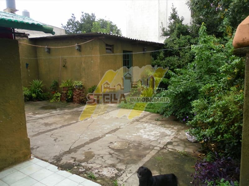 Arribeños 1727 - Stella Inmobiliaria — foto 3