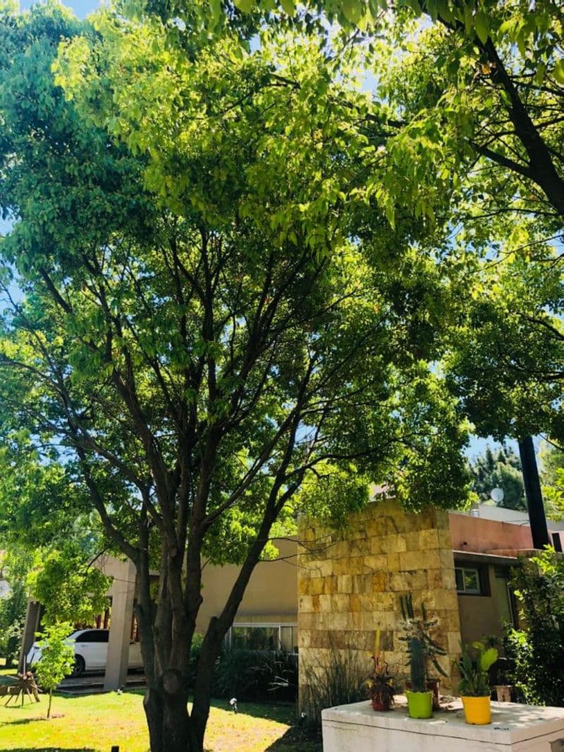 RUTA PCIAL 21 KM 100 - Pinar Inmobiliaria — foto 9