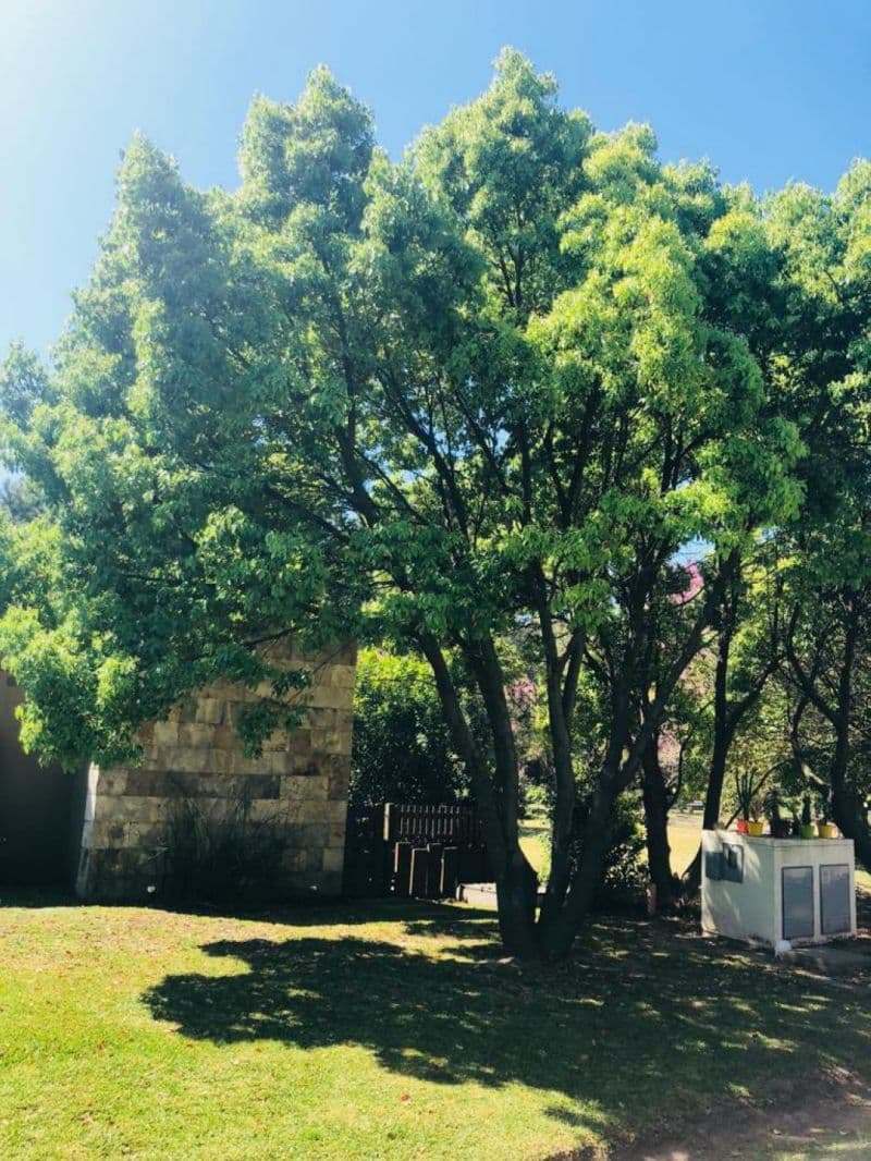 RUTA PCIAL 21 KM 100 - Pinar Inmobiliaria — foto 8