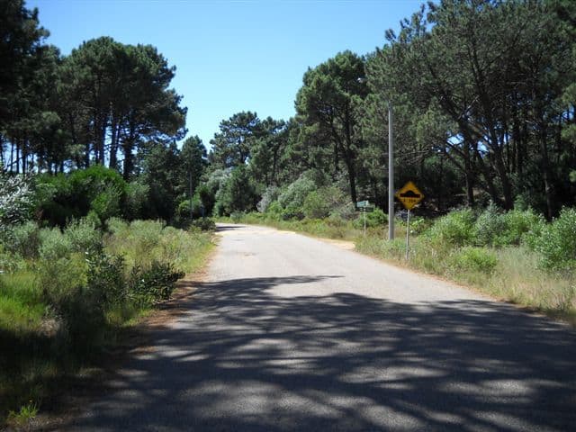 Punta del Este Urugu00 - Banchio Propiedades — foto 9