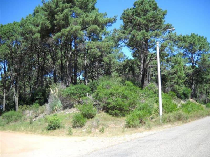 Punta del Este Urugu00 - Banchio Propiedades — foto 10