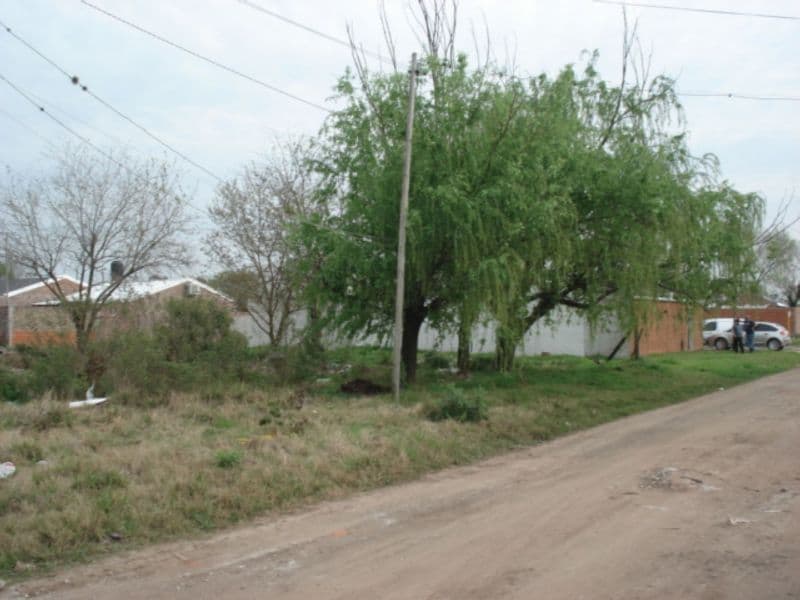 CALLE 1633 00 - Banchio Propiedades — foto 6