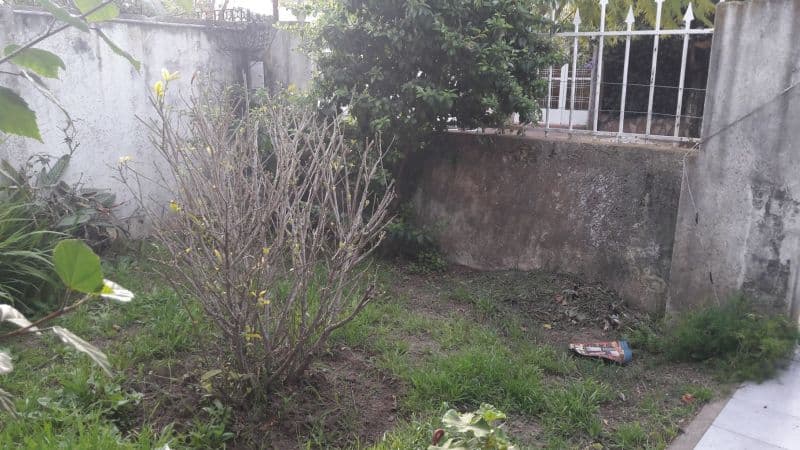 DELLAROLE 7700 - Banchio Propiedades — foto 2