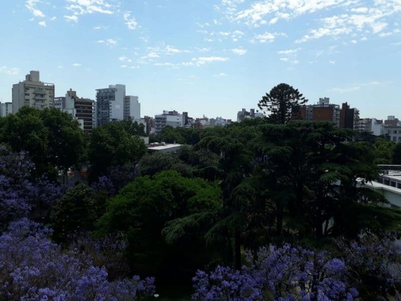ALVEAR 1600 - Banchio Propiedades — foto 2