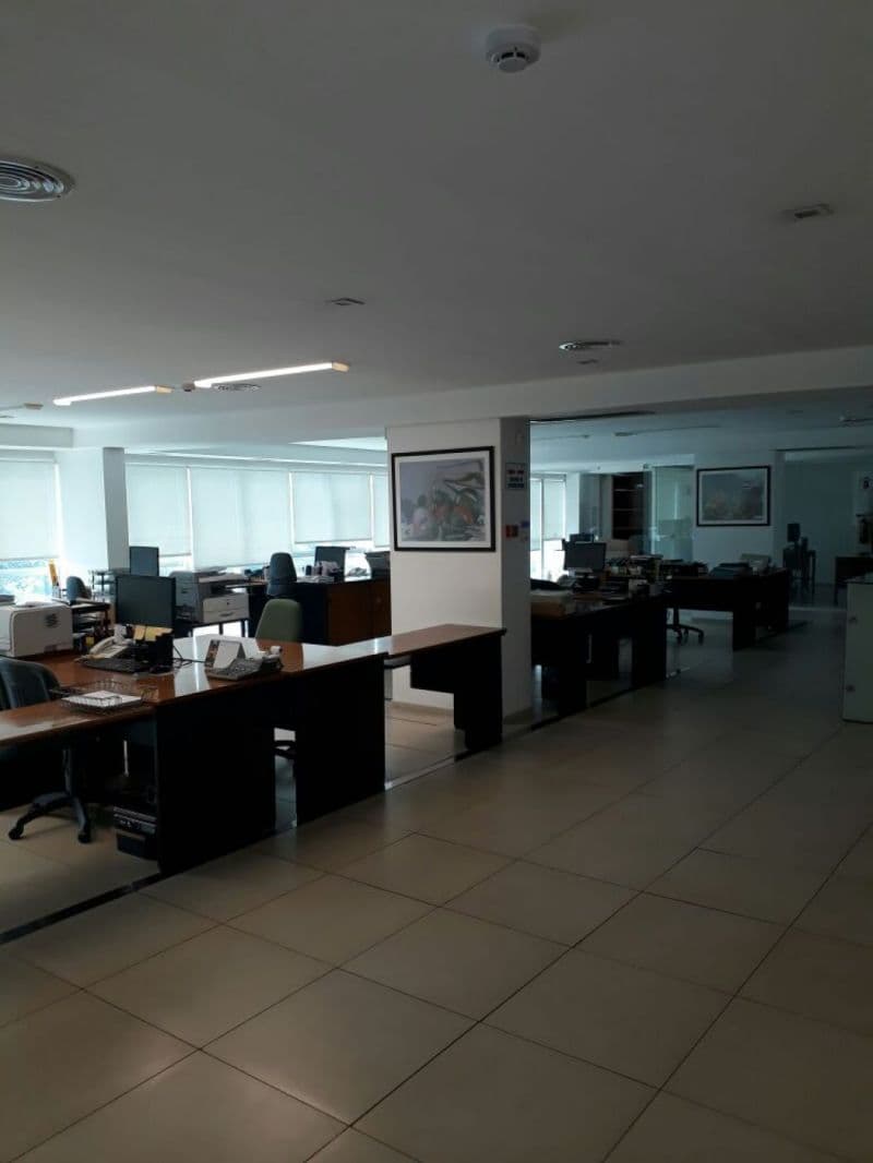 ALVEAR 1600 - Banchio Propiedades — foto 7