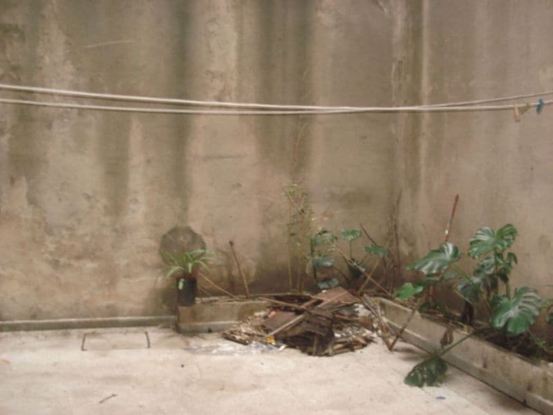 LAPRIDA 800 - Banchio Propiedades — foto 12