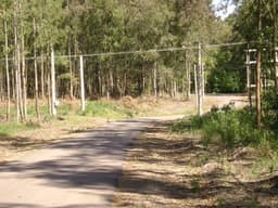 Campo timbo 0000 - Acec Propiedades
