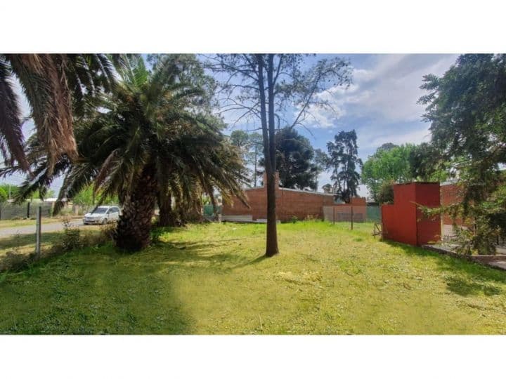 LOTES ALVEAR - LA CAROLINA — foto 3