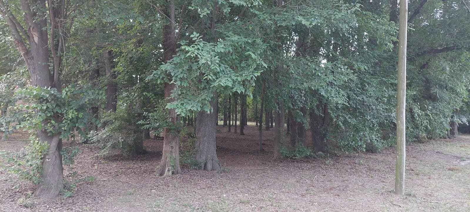 Lotes en venta Loteo Fontanet — foto 2