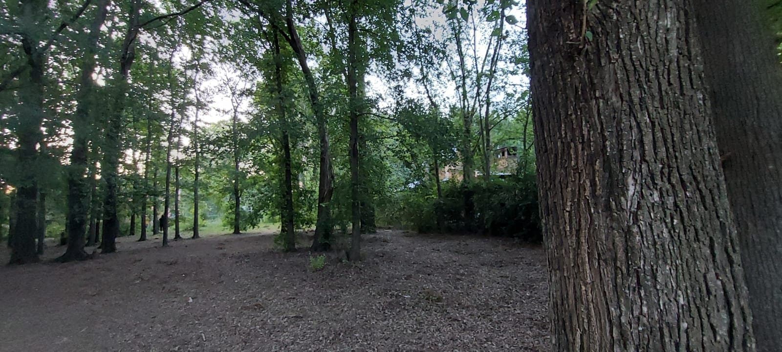Lotes en venta Loteo Fontanet — foto 4
