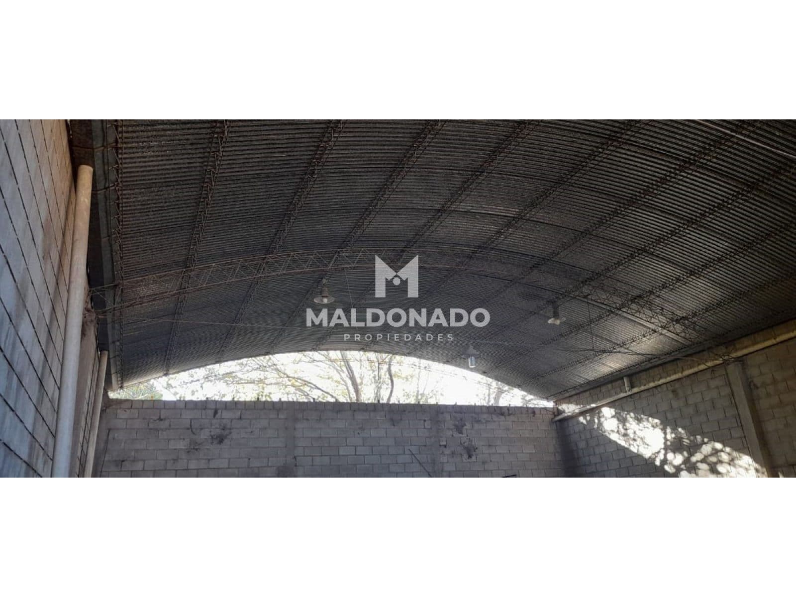 Galpón zona norte — foto 4