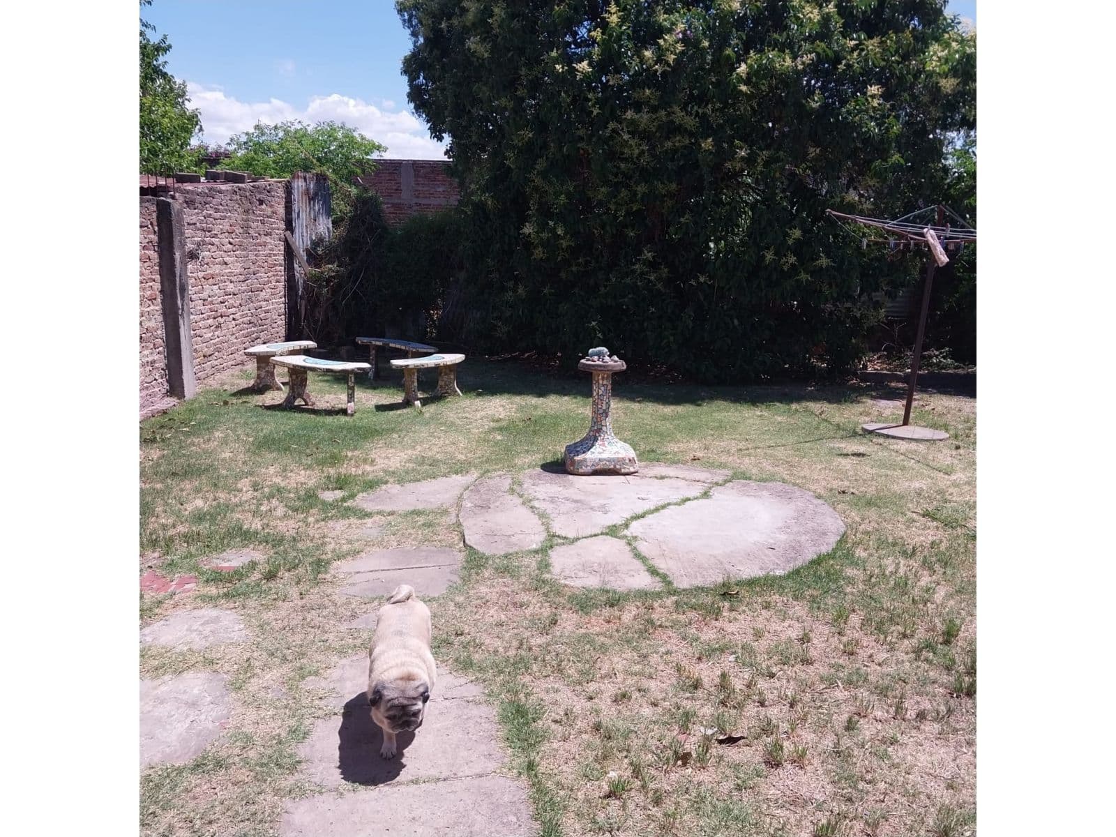 CASA | RAPIDO ACCESO A LA ESTACÍON | MORON SUR — foto 12