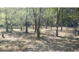 LOTE EN Barrio Villa La Selva- Ciudad de Salsipuedes-