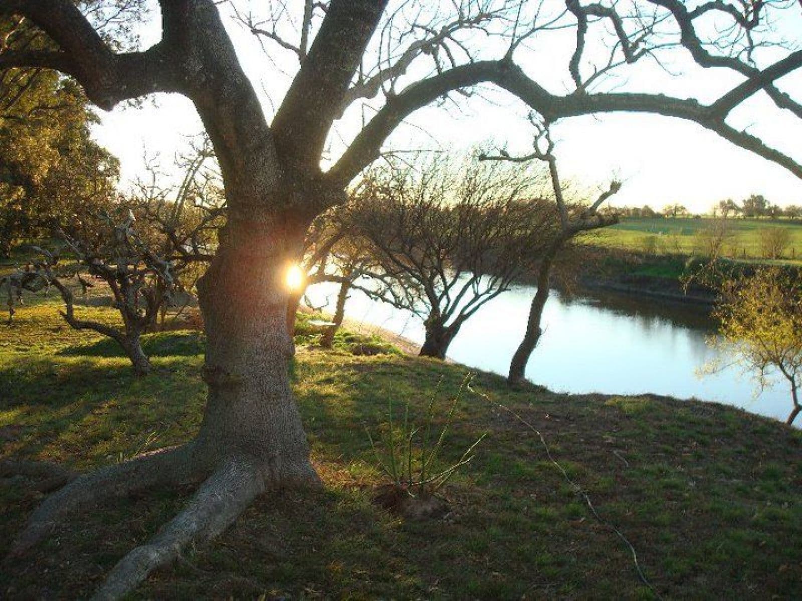 Chacra sobre el rio en barrio privado. RETASADA !!! — foto 7