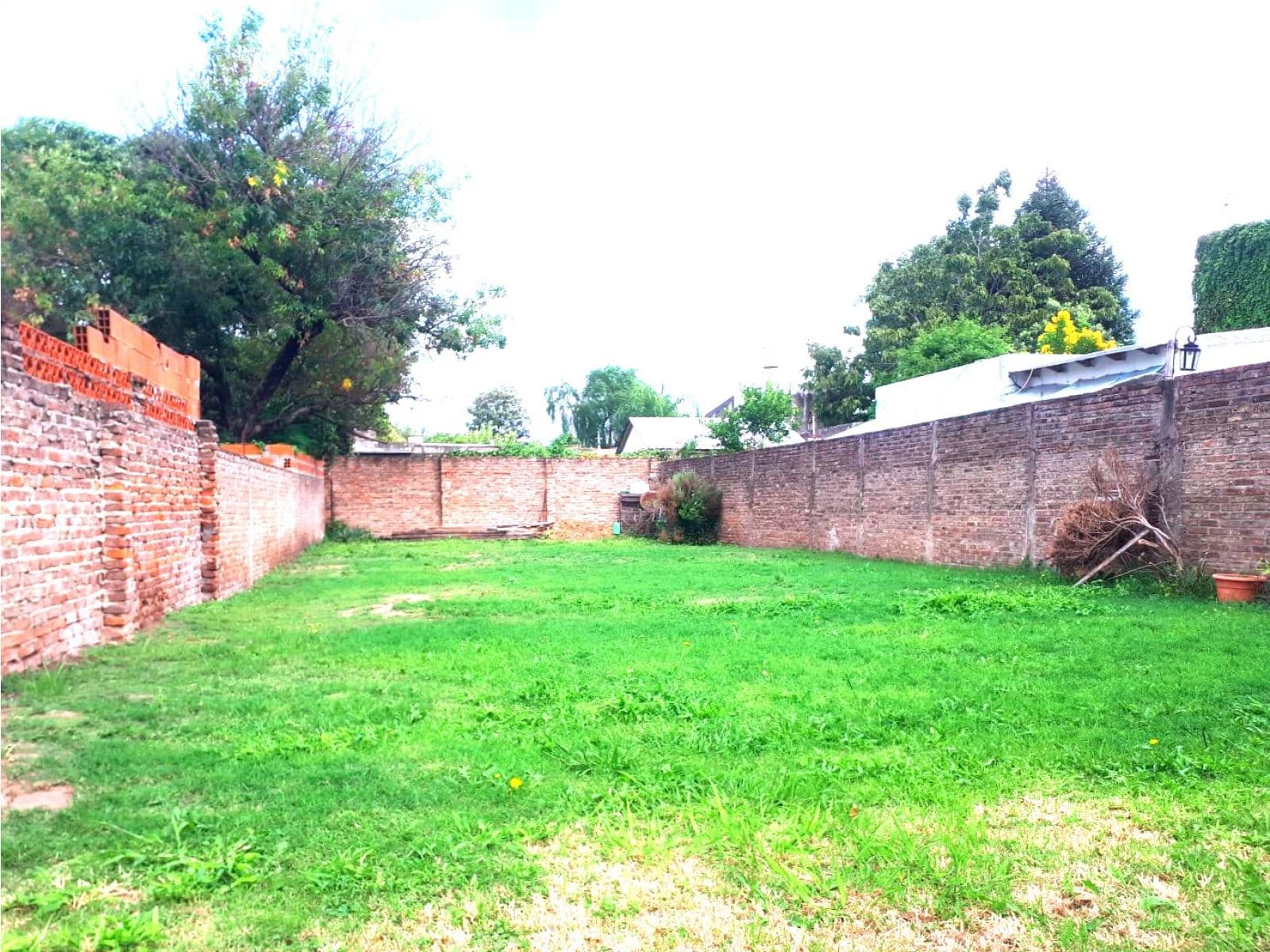 CENTENO 1845 — foto 12