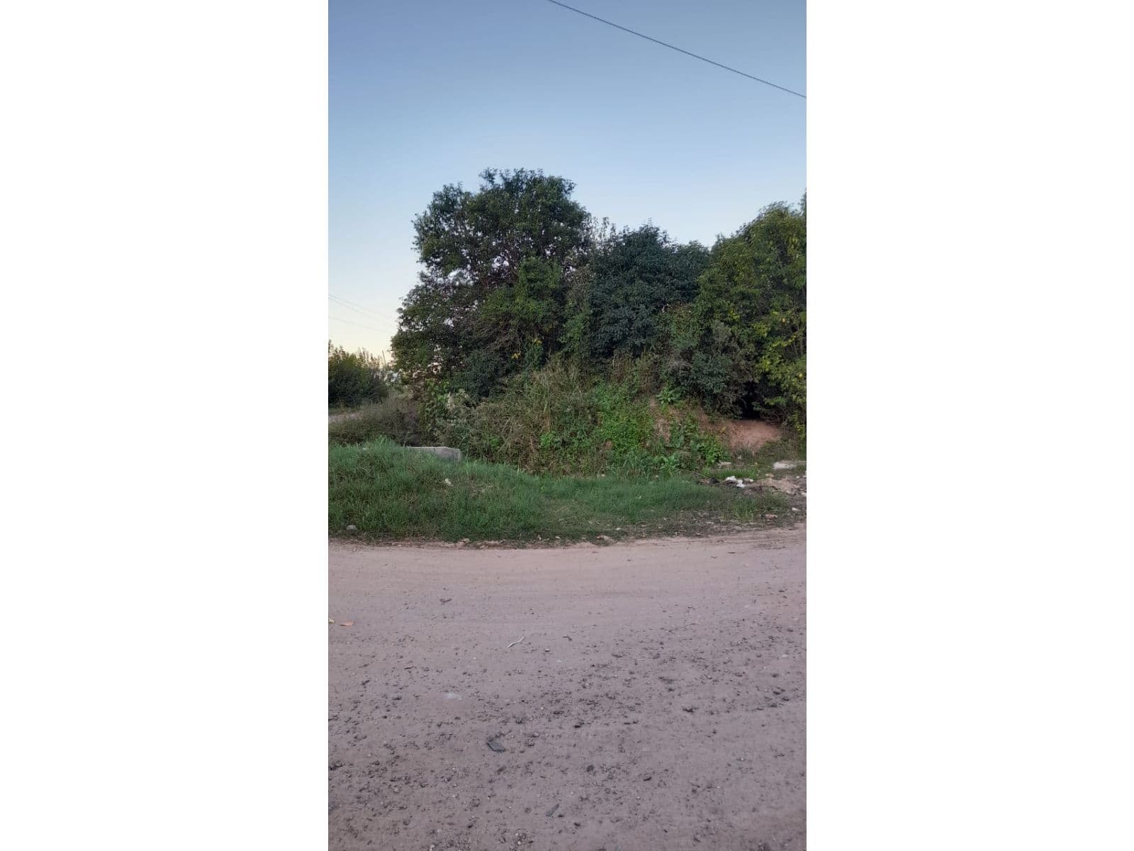 VENTA TERRENO PÉREZ ZONA SUBURBANA 23.000 M2 — foto 7