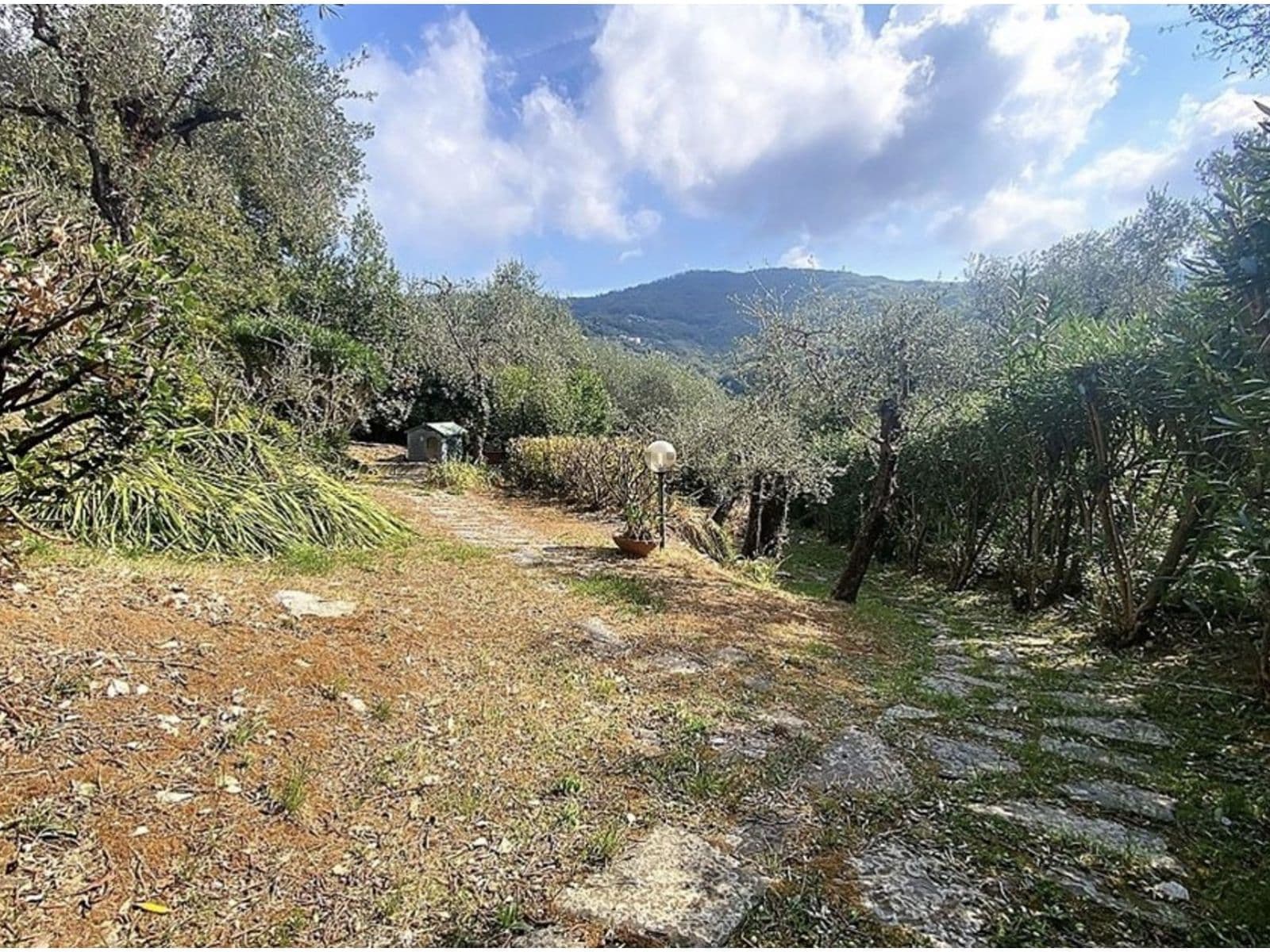 ITALIA, LAVAGNA, PROVINCIA DE GENOVA — foto 6