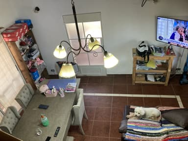 Miniatura 10