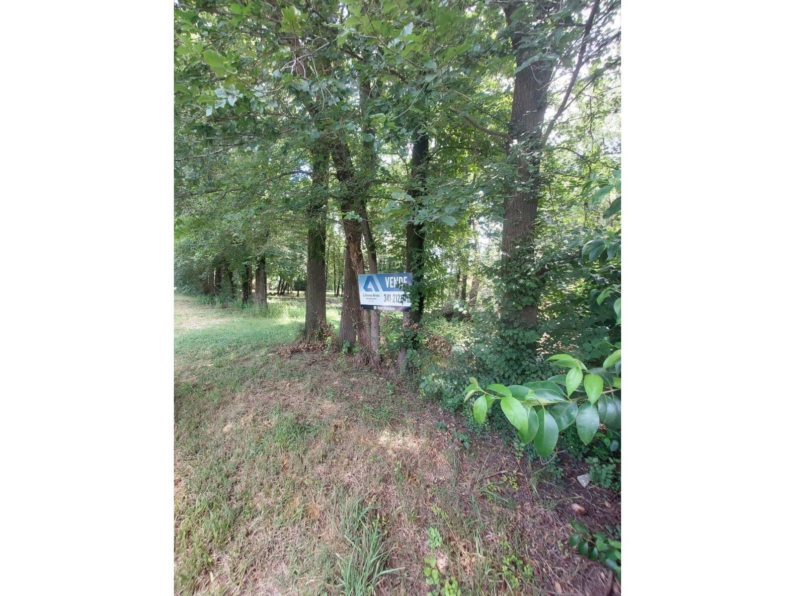 TERRENO EN VENTA ROLDAN — foto 1