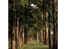 VENTA DE LOTES CAMPOS DE ROCA II
