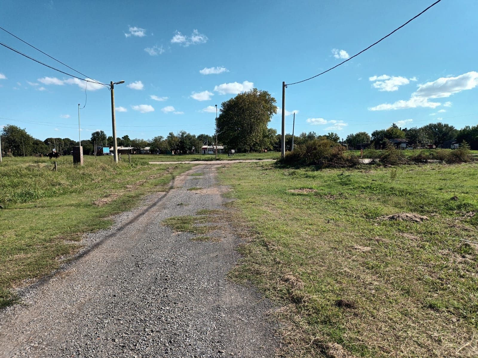 TERRENO EN VILLA MUGUETA — foto 3
