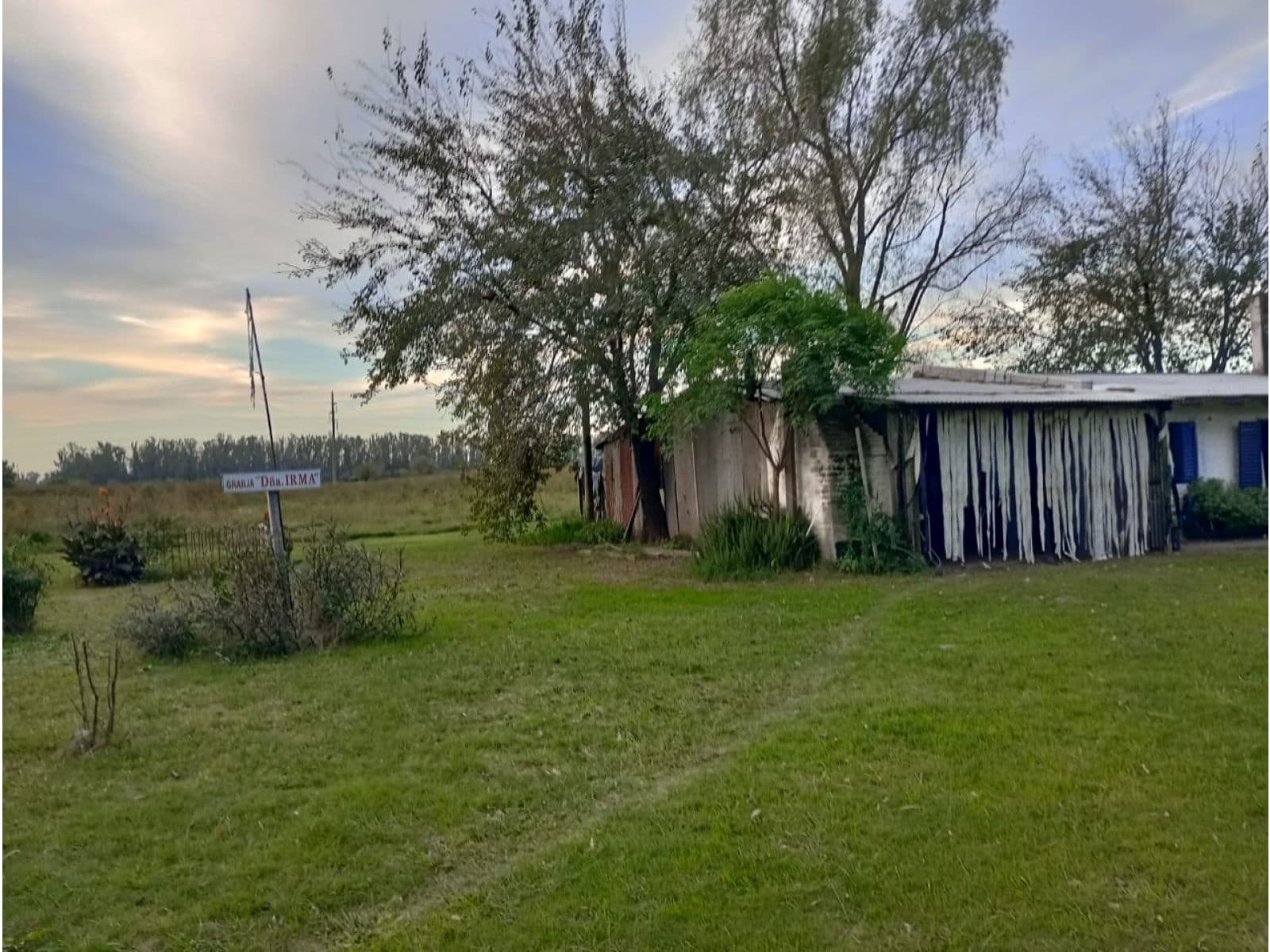 VENDE CAMPO 3 HAS. CON CASA EN PEREZ — foto 7