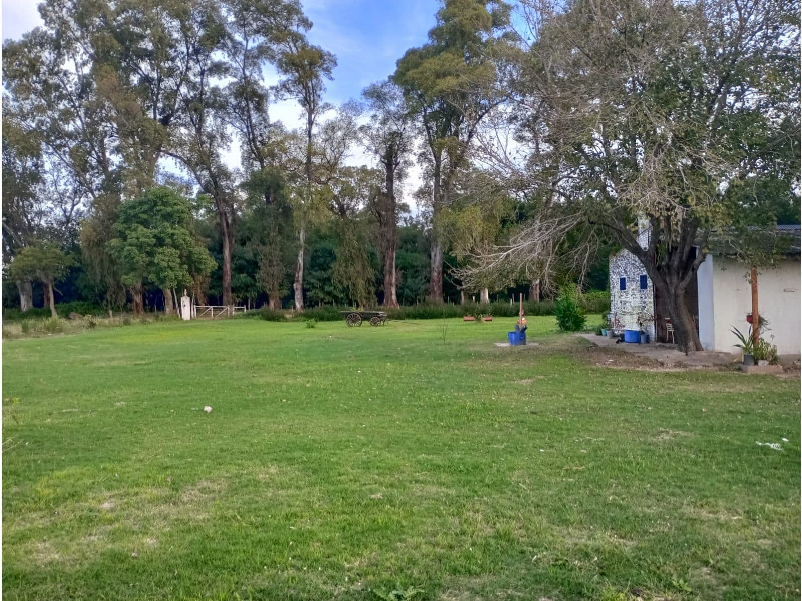 VENDE CAMPO 3 HAS. CON CASA EN PEREZ — foto 1