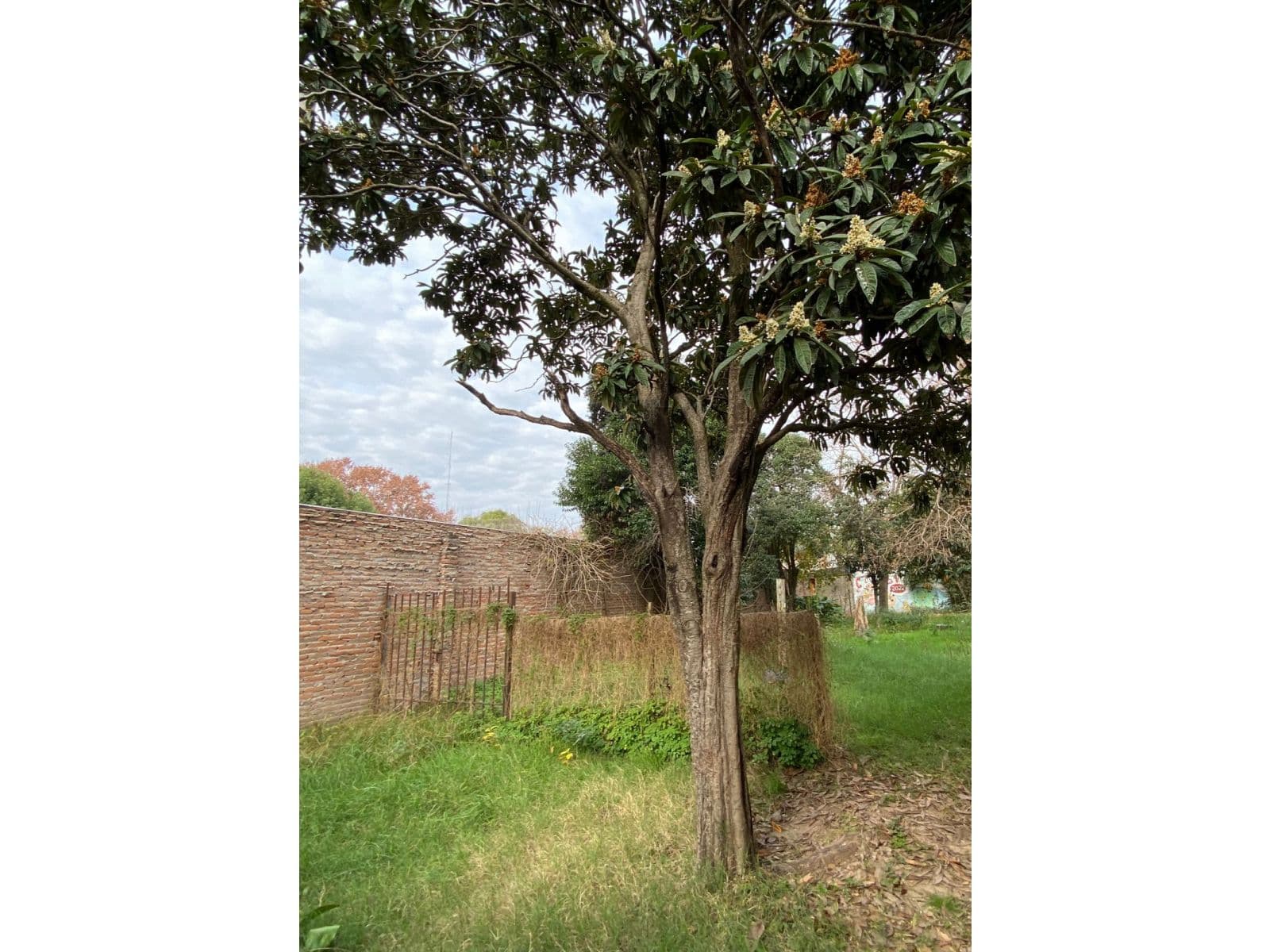 VENTA - Rivadavia Nº 159 - Granadero Baigorria — foto 11