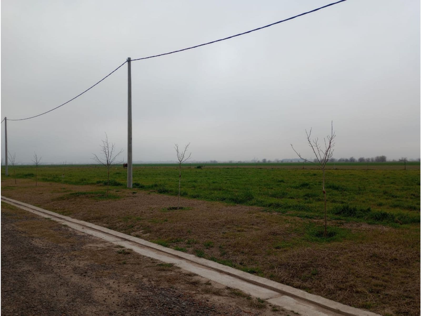 Lotes en barrio Pampa de Aldao — foto 6