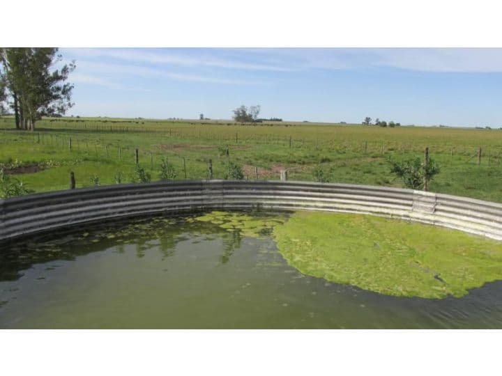 115 HA GANADERAS - Coronel Bogado - Prov. de Santa Fe — foto 11