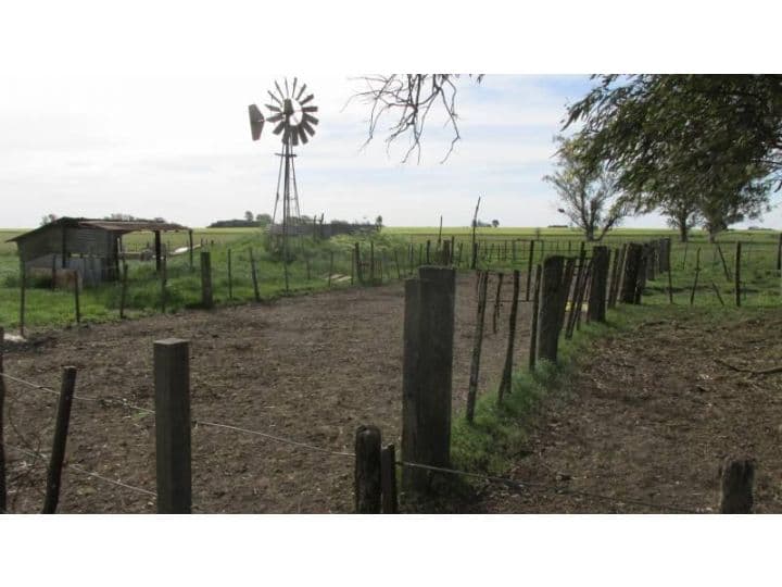 115 HA GANADERAS - Coronel Bogado - Prov. de Santa Fe — foto 15