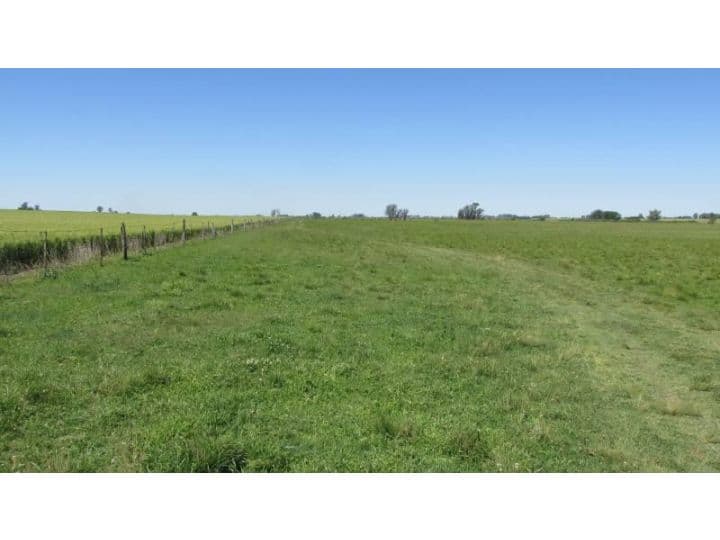 115 HA GANADERAS - Coronel Bogado - Prov. de Santa Fe — foto 7
