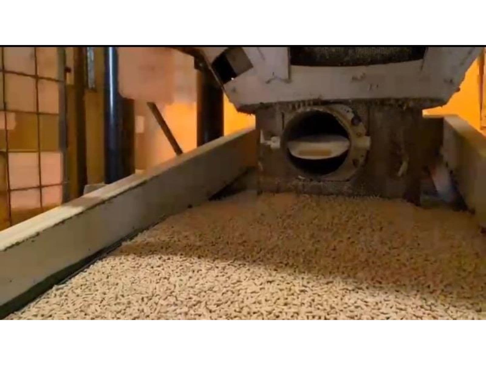 Planta de Alimentos Balanceados — foto 5