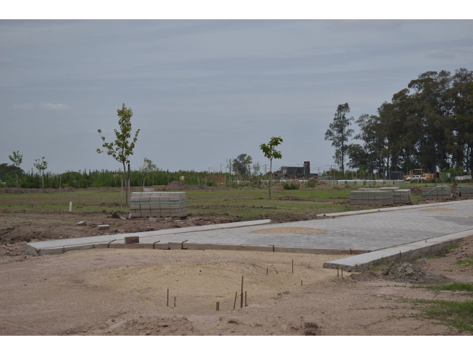 VENTA DE LOTES EN VILLA AMELIA — foto 4