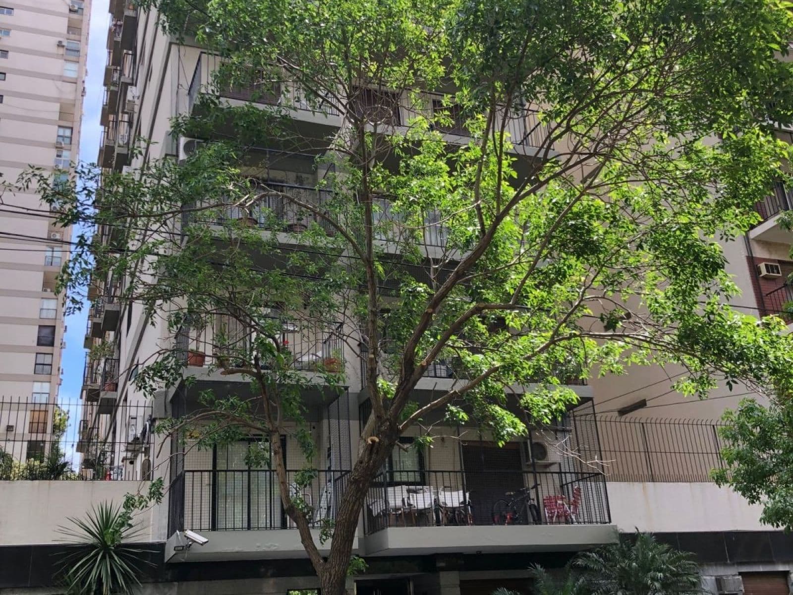 Belgrano 2 Ambientes Balcón Vista Al Rio — foto 12