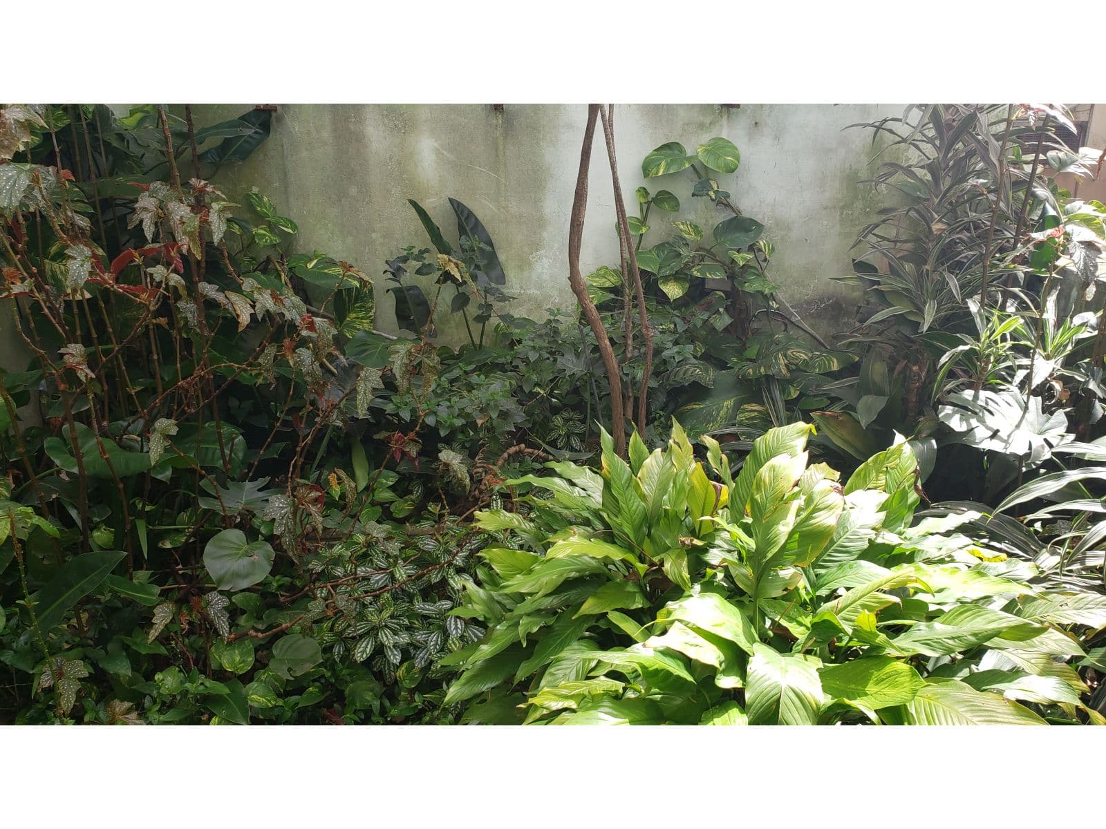 VENTA DPTO RETASADO Tipo CASA - OASIS en Pleno Barrio Norte ÚNICO JARDIN EXCLUSIVO — foto 14