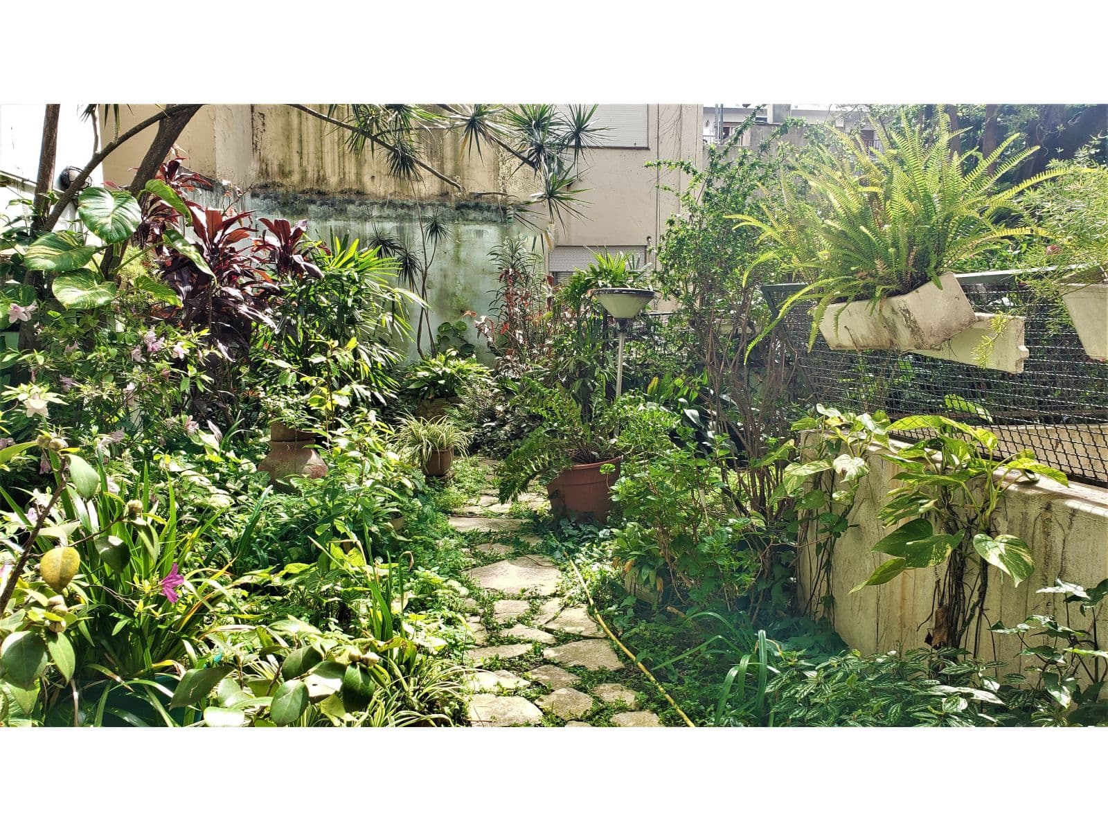 VENTA DPTO RETASADO Tipo CASA - OASIS en Pleno Barrio Norte ÚNICO JARDIN EXCLUSIVO — foto 6