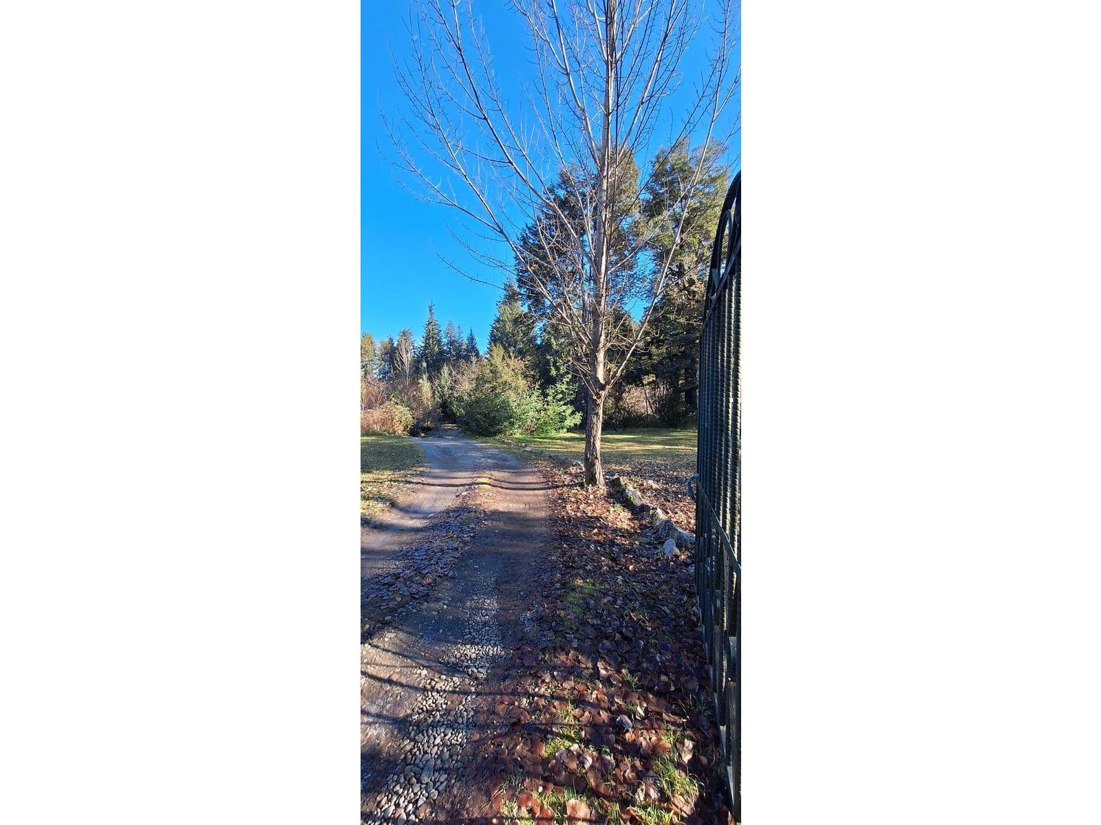 Lago Puelo — foto 4
