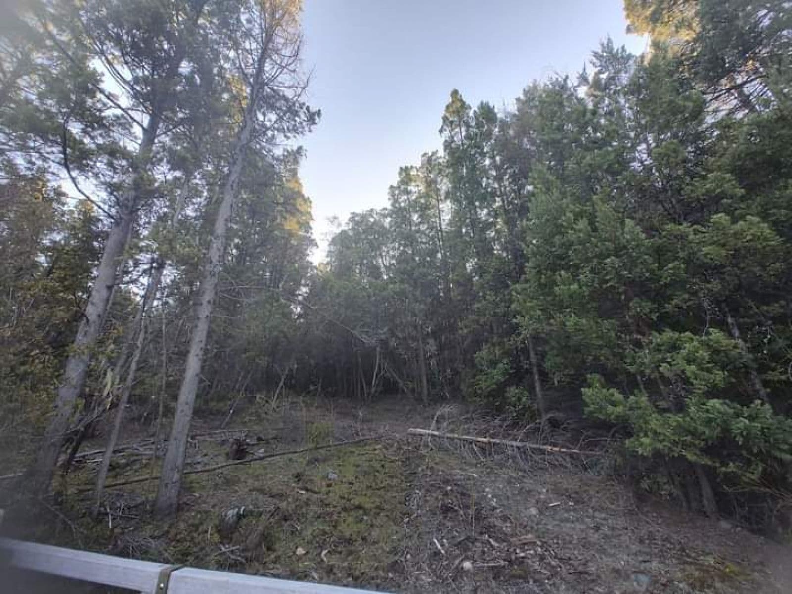 SE VENDE HERMOSO CAMPO — foto 2