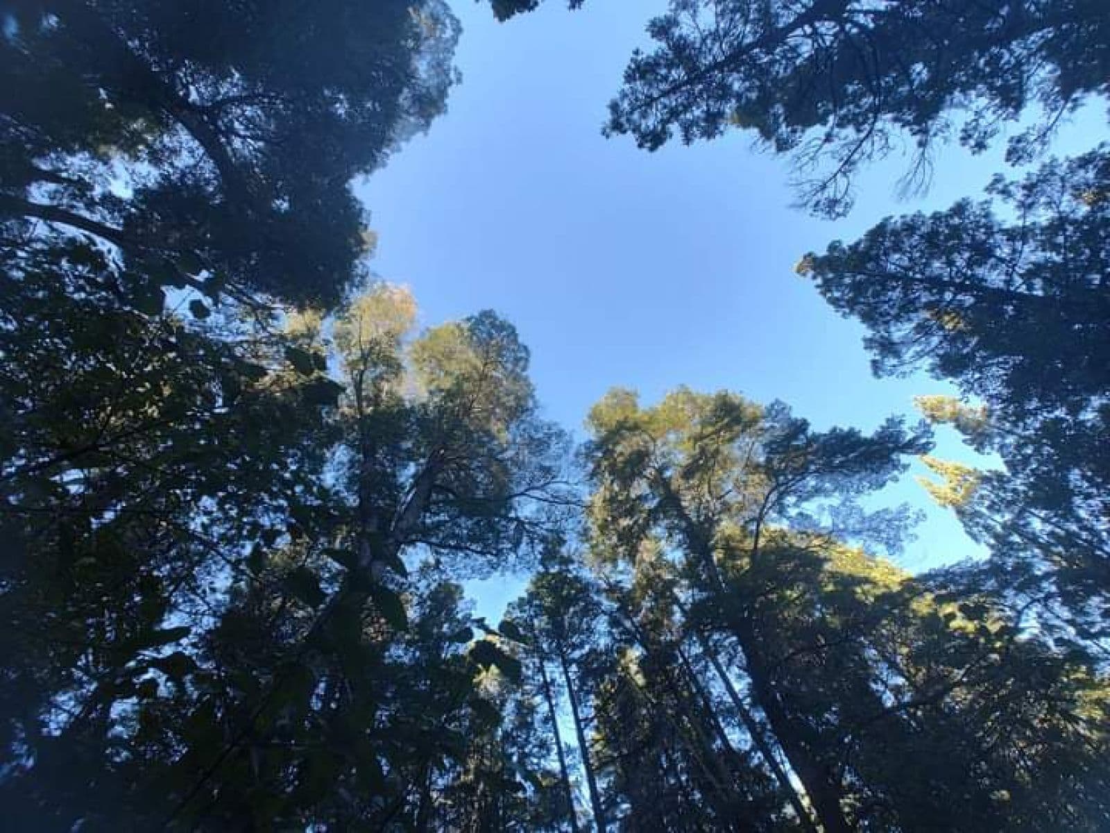 SE VENDE HERMOSO CAMPO — foto 5