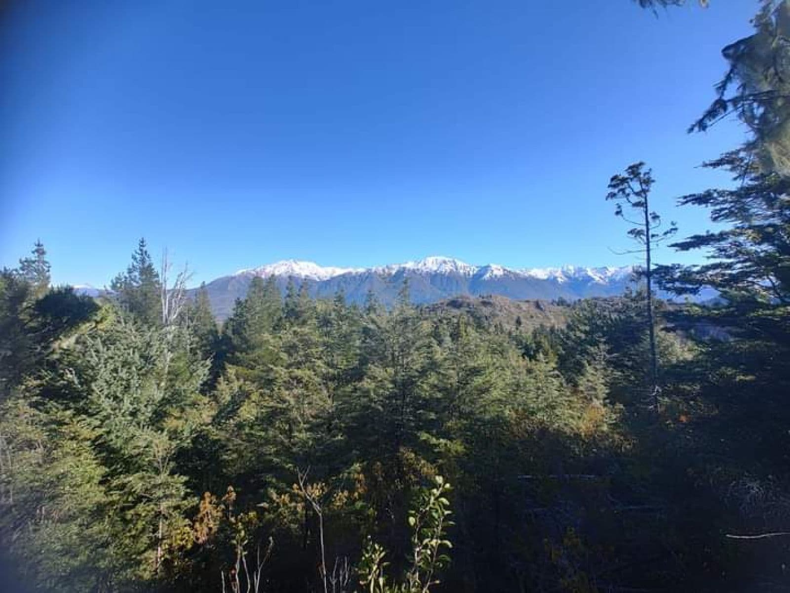 SE VENDE HERMOSO CAMPO — foto 3