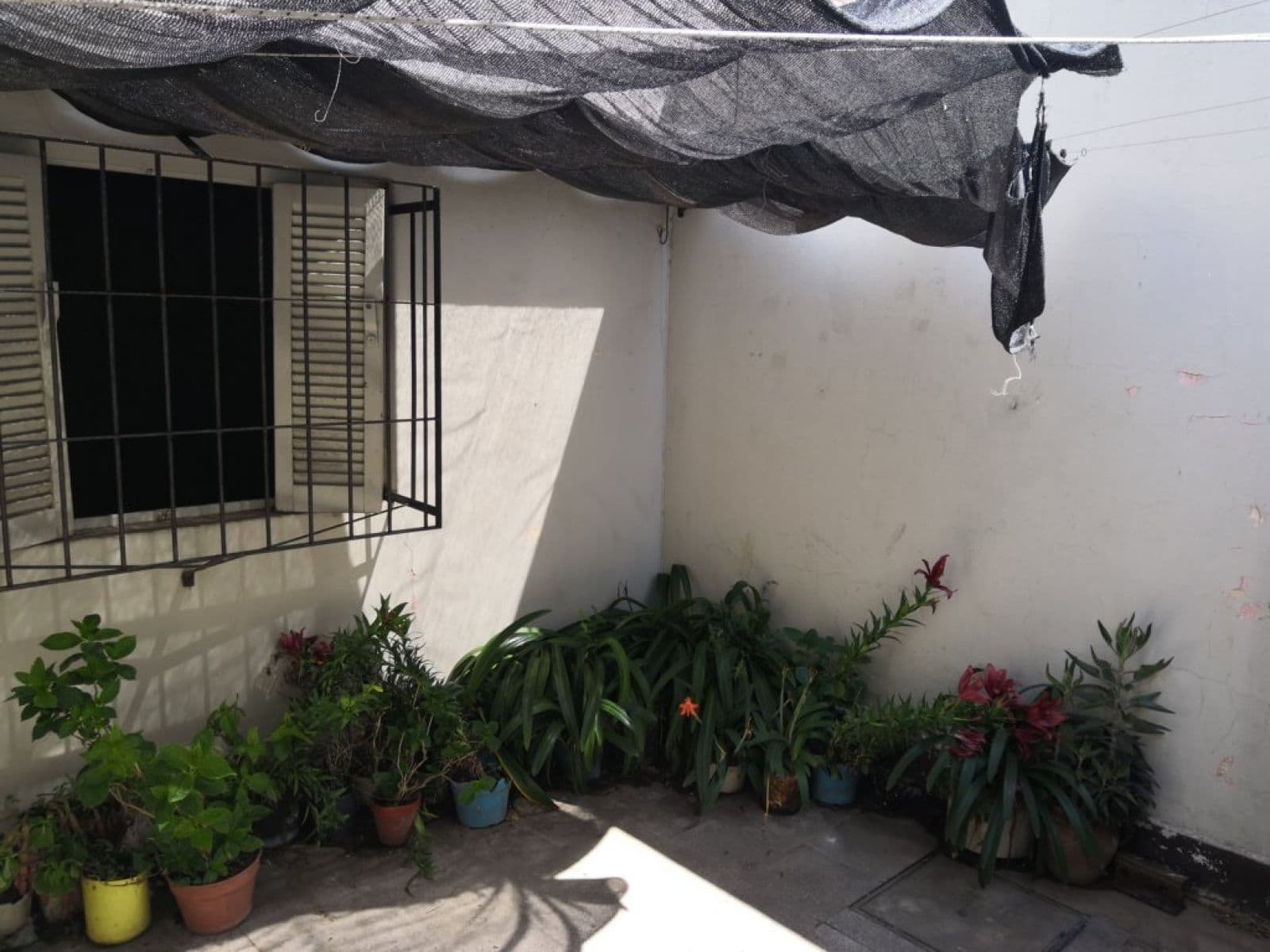 PASAJE NEWBERY 1368 — foto 6