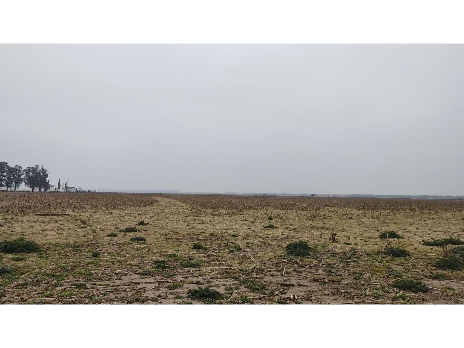Campo en venta, Piñero — foto 3