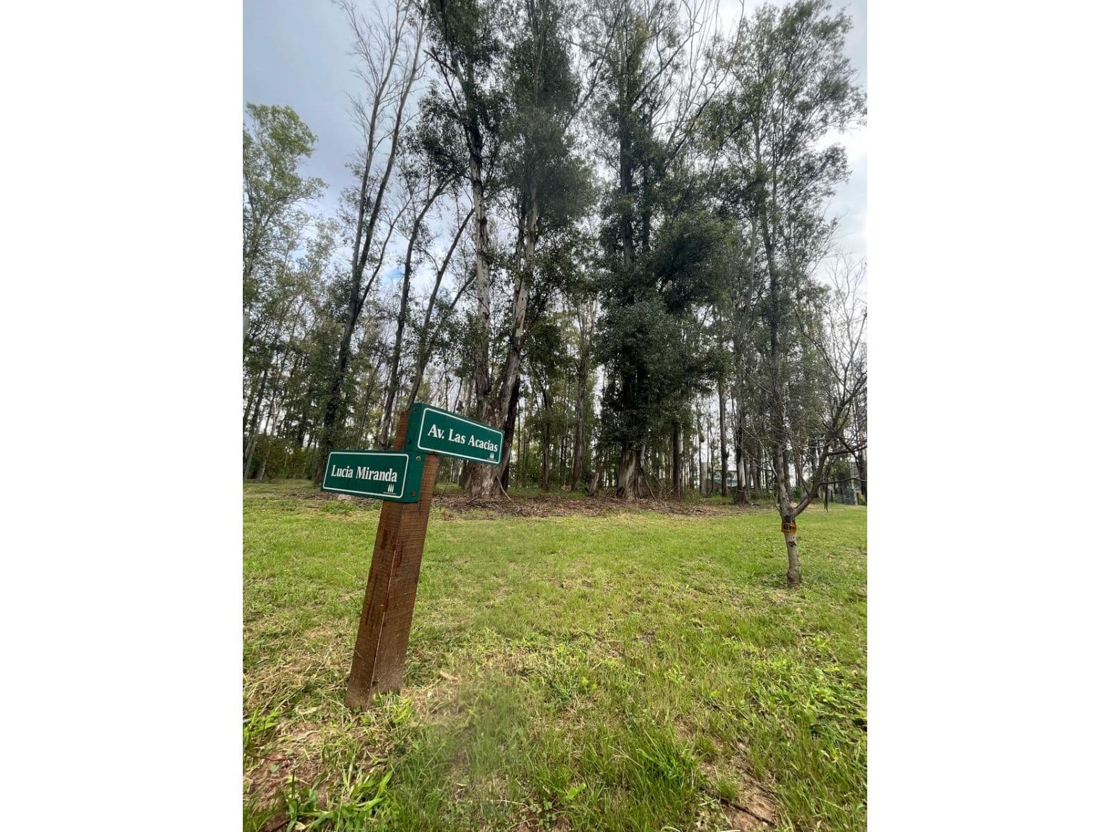 Lote - Campo Timbo — foto 1