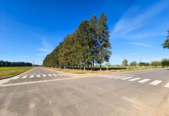 Venta Terreno Ecolagos Este - Lote 416 (300 m2) - General Lagos — foto 13