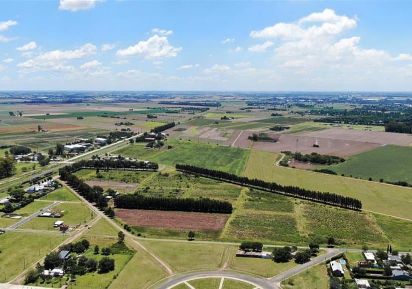 Venta Terreno Ecolagos Este - Lote 416 (300 m2) - General Lagos — foto 4
