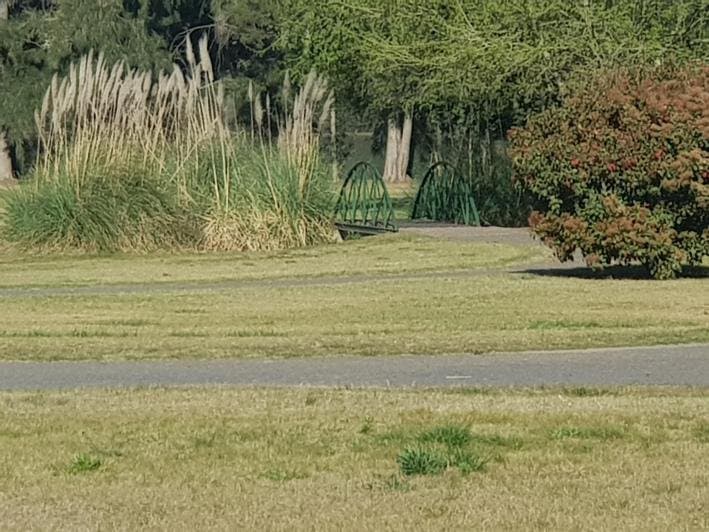 Lote en Lujan del sol — foto 4
