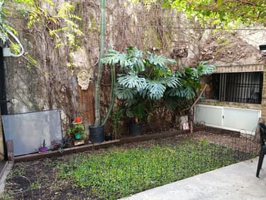 Miniatura 10